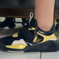 کفش|کیف، کفش، کمربند|مشهد, هفت تیر (آب و برق)|دیوار