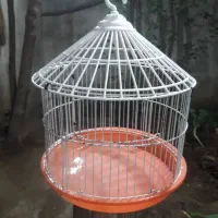 قفس پرنده|لوازم جانبی حیوانات|فومن, |دیوار