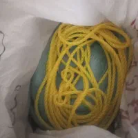 بازدیدلنده
