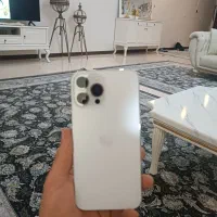 آیفون 13پرو مکس iPhone 13 pro max|موبایل|کرج, عظیمیه|دیوار