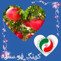 فروش انارسردرخت