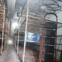 تجهیزات پرورش قارچ