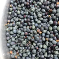 ونوشک نرمه تازه تازه کامل آبی