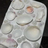 جا جواهری  دست ساز صدفی|زیورآلات و اکسسوری|تهران, پاسداران|دیوار