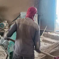 نیروی کار