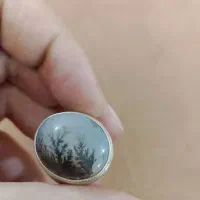 شجر قاعن دست ساز