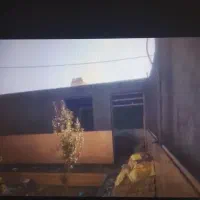 سیمان کاری سیمان کاری سفید