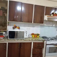 کابینت فلزی و سینک و هود|آب‌چکان و نظم‌دهنده ظروف|دوگنبدان, |دیوار