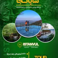 کمک هزینه سفر استانبول و دبی به تهران|تور و چارتر|تهران, شهرک دانشگاه تهران|دیوار