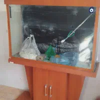 اکواریم 1متر 10میل