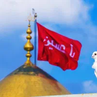 کیف ومدارک گمشده