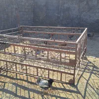 طاق نیسان دو پوش