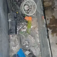 آکواریم با لوازم کامل|ماهی|قم, نیروگاه|دیوار