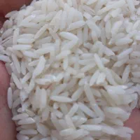 فروش برنج هاشمی اصل|خوردنی و آشامیدنی|پارس‌آباد, |دیوار