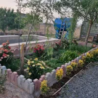 باغ ویلا