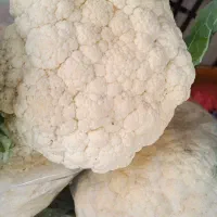 گل کلم وسایل ترشی میوه