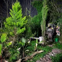 اجاره روزانه ویلا باغ دربستی و سویت|اجارهٔ کوتاه‌مدت ویلا و باغ|رشت, کوی جام جم|دیوار