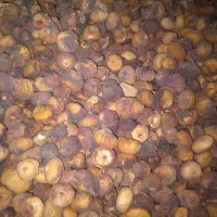 انجیرخشک|عمده‌فروشی|شیراز, قلات|دیوار