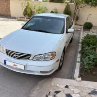 ماکسیما ۸۸ اتومات بدون رنگ