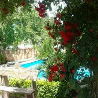 یک نفر خانم جهت کارهای خدماتی