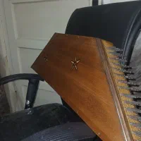 سنتور دو گل|سازهای سنتی|تهران, بهار|دیوار