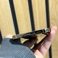 ایفون ۱۲ پرومکس|موبایل|تهران, درختی|دیوار