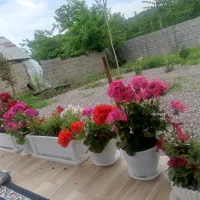 اجاره خانه ویلایی