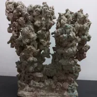 ملزومات آکواریوم|ماهی|خرمدره, |دیوار