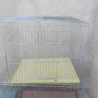 قفس پرنده|لوازم جانبی حیوانات|ایلام, |دیوار