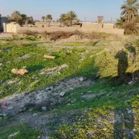 فروش زمین مسکونی رودان، بیکاه