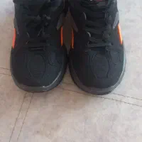 کفش|کیف، کفش، کمربند|زنجان, |دیوار