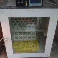 دستگاه جوجه کشی اتوماتیک ۸۴ تایی