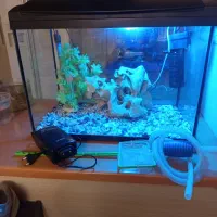 اکواریوم شرکتی|ماهی|تهران, افسریه شمالی|دیوار