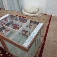 جفت کنی یا به اصطلاح گنجه|لوازم جانبی حیوانات|زابل, |دیوار