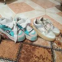 کفش|کیف، کفش، کمربند|اسفراین, |دیوار