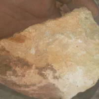 سنگ فسیل ماهی وصدف ماهی ۲۰۰۰ساله