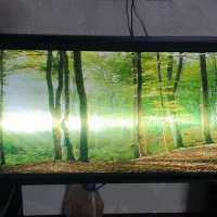 قاب عکس منظره چراغ دار