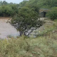 فروش-انواع-باغ-و-زمین