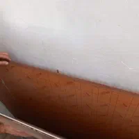 پلکسی|عمده‌فروشی|نیشابور, فردوسی جنوبی|دیوار