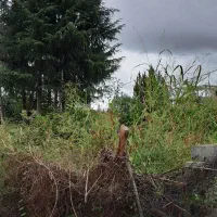 فروش-ویژه-زمین-داخل-بافت-یالبندان