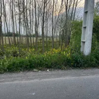 1400متر-زمین-کشاورزی-محدود-شهر