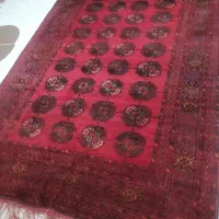 فرش دست باف|فرش|شیروان (خراسان), |دیوار