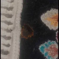 رفوگری فرش،تعمیرقالی|خدمات پیشه و مهارت|رفسنجان, |دیوار