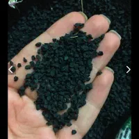 بذر پیاز قره داغ