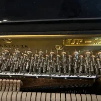 پیانو آکوستیک والد اشتاین|پیانو، کیبورد، آکاردئون|مشهد, جانباز|دیوار