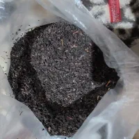 چای طابران کیلویی