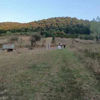 زمین در کیاسر لالا