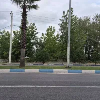 میدان-نخل-زمین650متر2نبش-تجاری-گردشگری