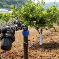 خانه تاسیسات گیلشهر|خدمات پیشه و مهارت|لوشان, |دیوار