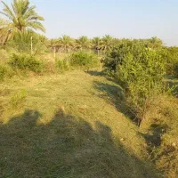 فروش-باغ1000متر